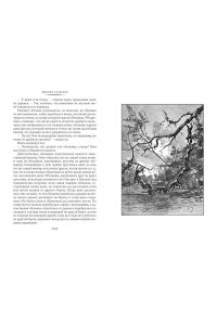 Сальгари Э. Человек огня. Сокровище Голубых гор