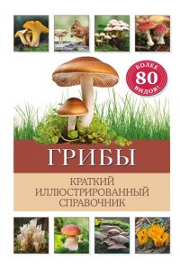 Офтринг Б. Грибы. Краткий иллюстрированный справочник