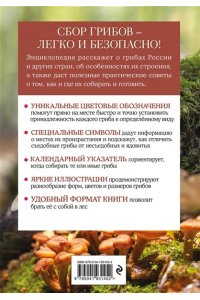 Офтринг Б. Грибы. Краткий иллюстрированный справочник