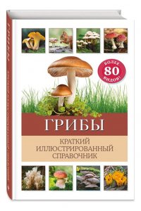 Офтринг Б. Грибы. Краткий иллюстрированный справочник