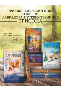 Невероятные приключения кота Сократа