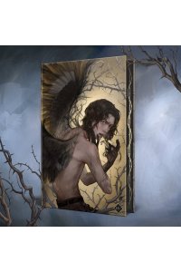 Кель Ф. Песнь Сорокопута (коллекционное издание) (Песнь Сорокопута #1)