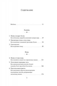 Джабр Ф. Удивительное зарождение Земли: Путешествие по скрытым чудесам, которые дали жизнь нашей планете