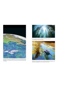 Джабр Ф. Удивительное зарождение Земли: Путешествие по скрытым чудесам, которые дали жизнь нашей планете