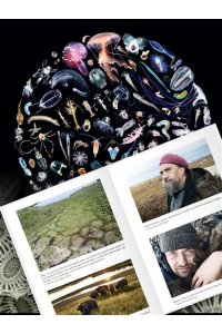 Джабр Ф. Удивительное зарождение Земли: Путешествие по скрытым чудесам, которые дали жизнь нашей планете