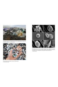 Джабр Ф. Удивительное зарождение Земли: Путешествие по скрытым чудесам, которые дали жизнь нашей планете