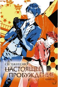 Си Ч. Настоящее пробуждение. Real Awakening. Книга 3