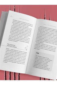Царегородцева С.П. Кошачий закон и порядок. Как найти общий язык с кошкой и не стать жертвой ее капризов