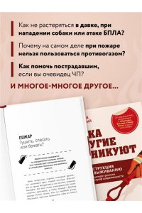 Коринный Д.В. Пока другие паникуют. Инструкция по выживанию на примере громких катастроф современности