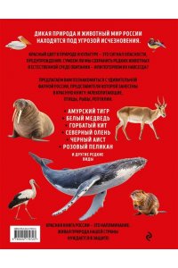 Красная книга России. Большой формат. Более 500 уникальных иллюстраций и фактов (новое издание) (основной)