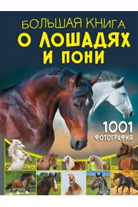 Спектор А.А. Большая книга о лошадях и пони. 1001 фотография