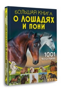 Спектор А.А. Большая книга о лошадях и пони. 1001 фотография