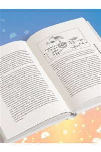 Хабиб Р. Собака навсегда. The forever dog. Прорывное научное открытие, которое поможет сохранить здоровье и продлить жизнь вашей собаке
