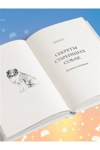 Хабиб Р. Собака навсегда. The forever dog. Прорывное научное открытие, которое поможет сохранить здоровье и продлить жизнь вашей собаке