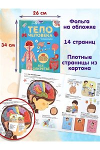 Тело человека. Все секреты. Большая интерактивная 3D-энциклопедия