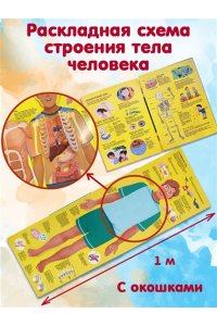Тело человека. Все секреты. Большая интерактивная 3D-энциклопедия