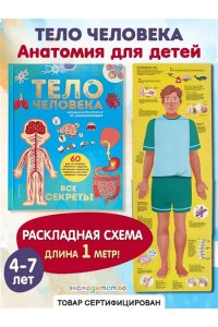 Тело человека. Все секреты. Большая интерактивная 3D-энциклопедия