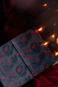 Рита Хоффман Мрачный Взвод. Специальное издание