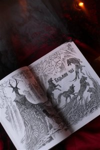 Рита Хоффман Мрачный Взвод. Специальное издание