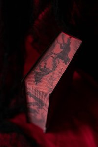 Рита Хоффман Мрачный Взвод. Специальное издание