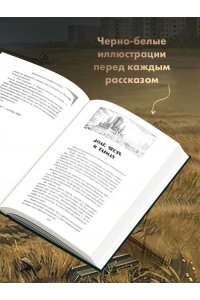 Васильев В. Ведьмак из Большого Киева (Ведьмак #1)