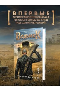 Васильев В. Ведьмак из Большого Киева (Ведьмак #1)
