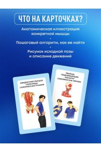 Пак А.Л. Избавься от триггерных точек. 54 карточки с упражнениями и описанием мышц