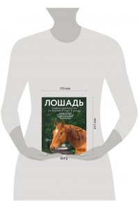 Иванова М.В. Лошадь. Полное руководство по верховой езде и уходу