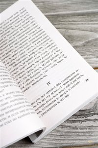 Дама с камелиями