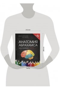Абрахамс П. Анатомия Абрахамса. Атлас-раскраска