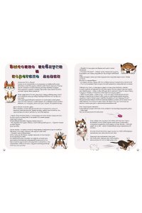 Тиби М. Мяумяу. Том 2. Жизнь хороша? Правда?