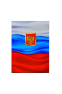 ПАПКА АДРЕС ФЛАГ (ЛАМИН) В АСС (ДЕРЖАВА) (1102)/APLM_2770 / 181405 (3086)