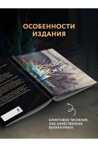 Мишальон К. Последнее убежище