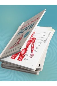 Эллсуорт А. Анатомия йоги. 50 главных асан с анатомическими иллюстрациями, для начинающих и продвинутых