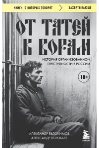 Евдокимов А.В. От татей к ворам: история организованной преступности в России