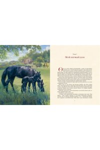 Сьюэлл А. Чёрный Красавчик (илл. К.Бирмингема)