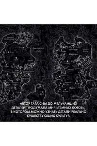 Сим Т. Темные боги. Книга 1. Сумеречный город