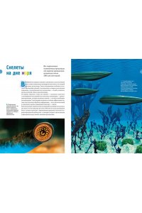 Мило Ф. Тайны морей и океанов. Большая иллюстрированная энциклопедия