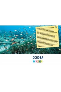 Мило Ф. Тайны морей и океанов. Большая иллюстрированная энциклопедия