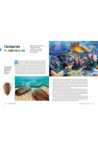 Мило Ф. Тайны морей и океанов. Большая иллюстрированная энциклопедия