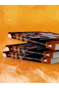 Мужицкая Т.В., Белашева И.П. Маленькие секреты большого счастья. 32 разговора в придорожном кафе