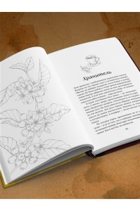 Галиакберова А.Н. Кофейные романы: насыщенные истории с ярким вкусом и нежным ароматом