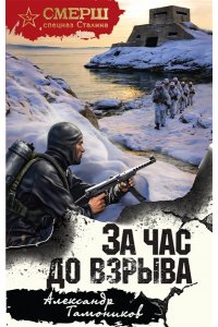 Тамоников А.А. За час до взрыва