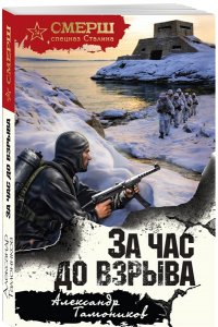 Тамоников А.А. За час до взрыва