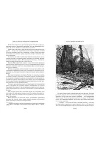 Буссенар Л. Гвианские робинзоны (с илл.)