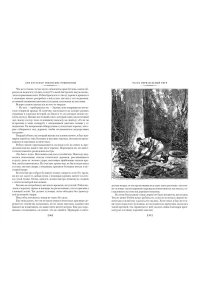 Буссенар Л. Гвианские робинзоны (с илл.)