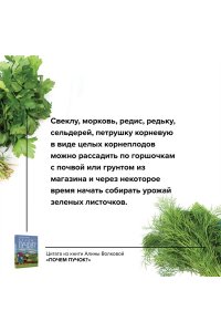 Волкова А.П. Почем пучок. Как выращивать свою зелень