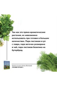 Волкова А.П. Почем пучок. Как выращивать свою зелень