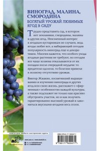 Жвакин В.В. Виноград, малина, смородина. Богатый урожай любимых ягод в саду