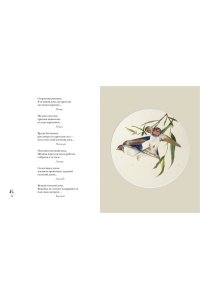 Мир в капле дождя. Осень. Зима. Хайку на все времена